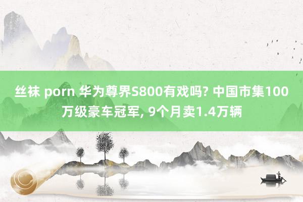 丝袜 porn 华为尊界S800有戏吗? 中国市集100万级豪车冠军， 9个月卖1.4万辆