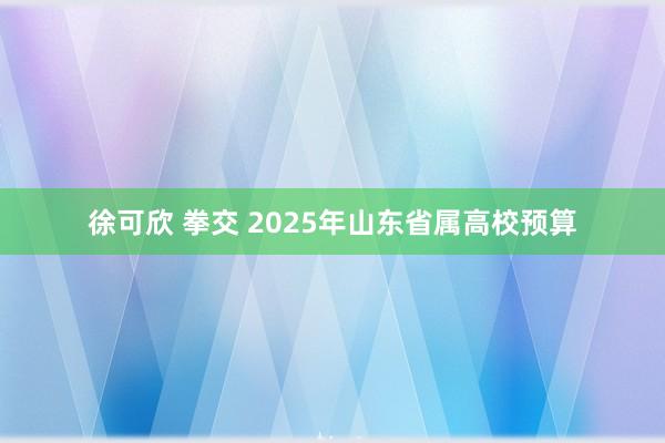 徐可欣 拳交 2025年山东省属高校预算