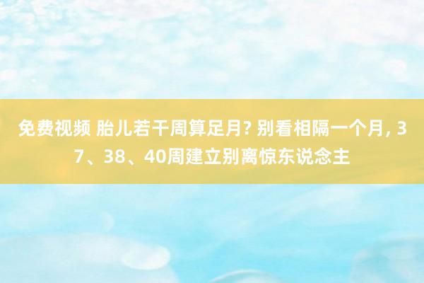 免费视频 胎儿若干周算足月? 别看相隔一个月， 37、38、40周建立别离惊东说念主